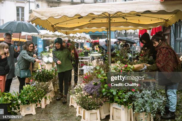 lices market in rennes on saturday - support local stock pictures, royalty-free photos & images