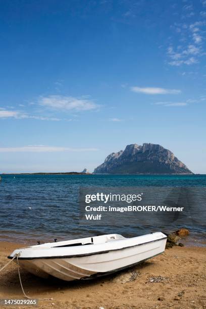 boat, porto san paolo, island, isola di tavolara, sardinia, italy - tavolara foto e immagini stock