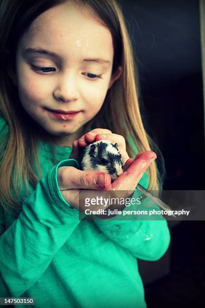 girl holding gerbil - gerbo fotografías e imágenes de stock