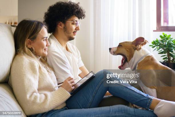 side portrait of caucasian young couple with pitbull terrier dog yawn at home - barking dog stock pictures, royalty-free photos & images