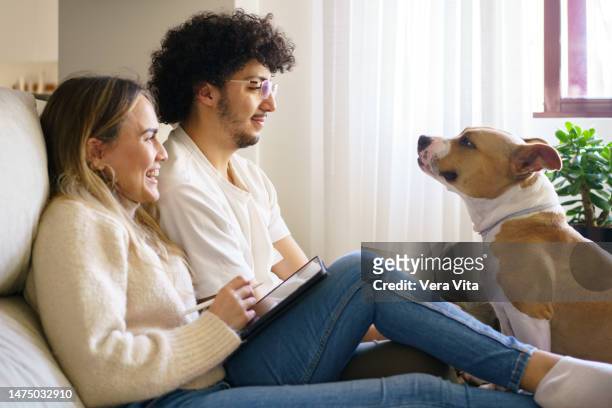 side portrait of caucasian young couple with pitbull terrier dog bark at home - vita domestica fotografías e imágenes de stock