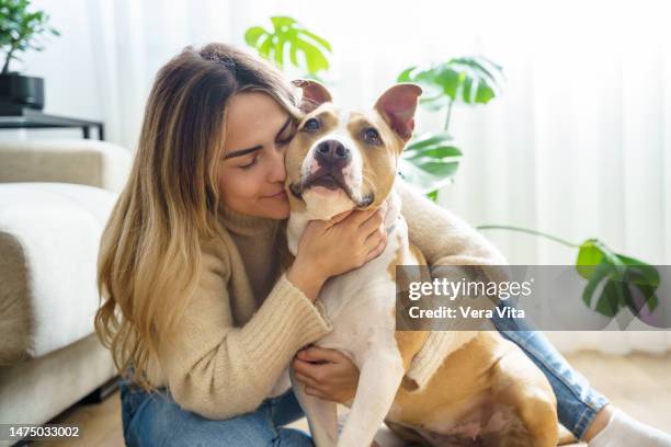 portrait of blonde young woman hugging happy pitbull terrier dog at home - pit bull stockfoto's en -beelden