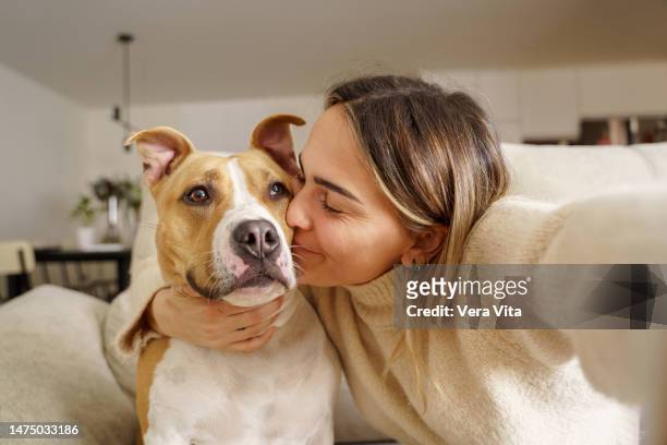 tender close-up view of caucasian blonde woman kissing pitbull dog at home - pets fotografías e imágenes de stock