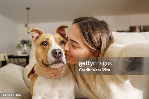 Tender close-up view of caucasian blonde woman kissing Pitbull dog at home Tender close-up view of caucasian blonde woman kissing Pitbull dog at home