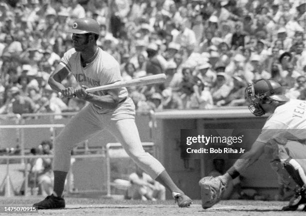 Reds Ken Griffey at bat during game between Los Angeles Dodgers and the Cincinnati Reds, August 3, 1975 in Los Angeles, California.