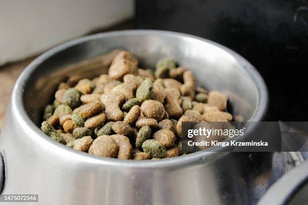 dog food - dog tapeworm stock pictures, royalty-free photos & images