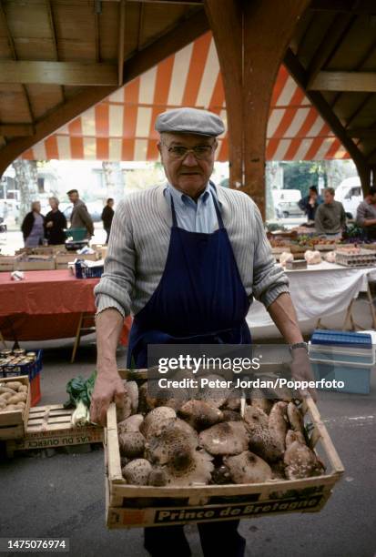 Stallholder holds a tray of wild mushrooms for sale on a stall at a food market on a street in the centre of the city of Brive-la-Gaillarde in the...