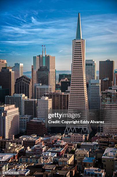 transamerican tower - transamerica pyramid stock-fotos und bilder