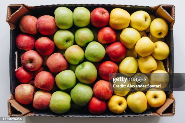 multi-colored apples in a cardboard container, directly above view - manzana verde fotografías e imágenes de stock