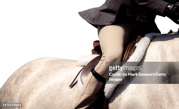 equestrian show photography - dressage stock pictures, royalty-free photos & images