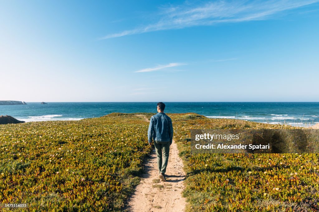 Rear view of a young man walking towards ocean, Portugal