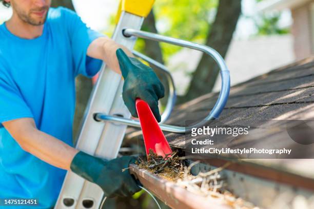 scooping out the gutters while standing on a ladder - cleaning gutters stock pictures, royalty-free photos & images
