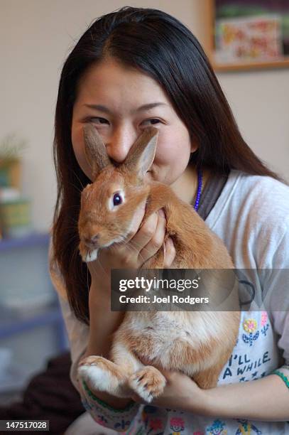 Asisan Rabbit Asian Bunny ストックフォトと画像 - Getty Images