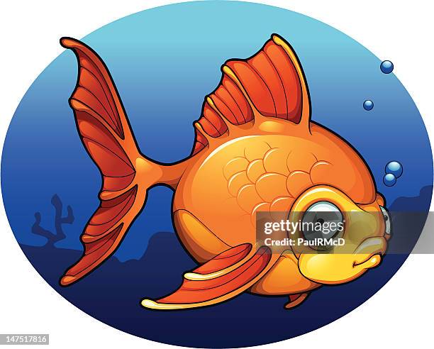 Fat Fish Vector 155 Fat Fish High Res Illustrations - Getty Images