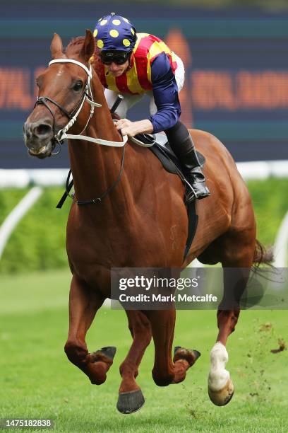 James McDonald rides Nature Strip during an exhibition gallop during Sydney Racing at Royal Randwick Racecourse on March 22, 2023 in Sydney,...