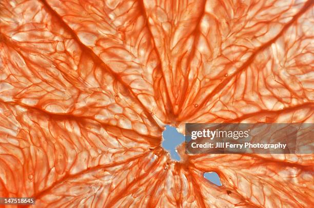 close up of grapefruit - fruit flesh stock pictures, royalty-free photos & images