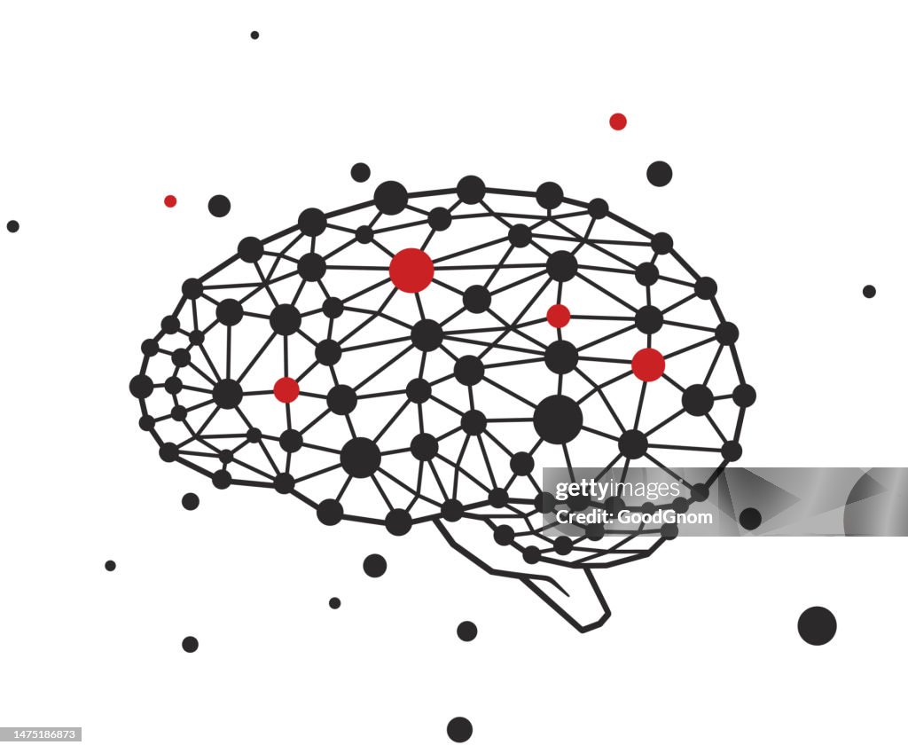 Human Brain Structural Design High-Res Vector Graphic - Getty Images