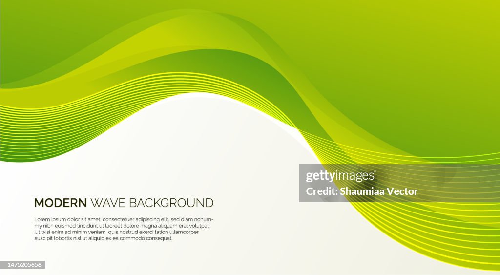 Ilustración de fondo abstracto vectorial ondulado blanco y verde con líneas curvas y degradado