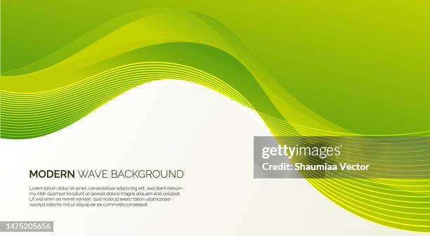 ilustraciones, imágenes clip art, dibujos animados e iconos de stock de ilustración de fondo abstracto vectorial ondulado blanco y verde con líneas curvas y degradado - esmeraldas
