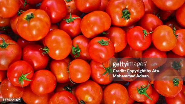 fresh tomatoes - tomate fotografías e imágenes de stock