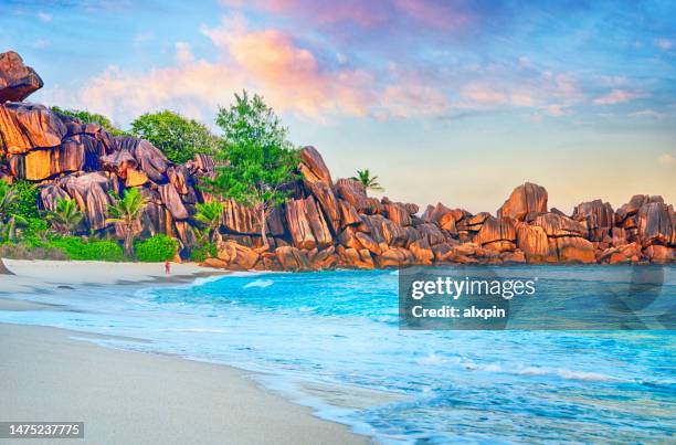 grand anse beach, seychelles - seychelles stock pictures, royalty-free photos & images