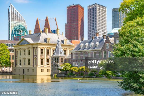 the hague hofvijver pond with the binnenhof government buildings - binnenhof 個照片及圖片檔