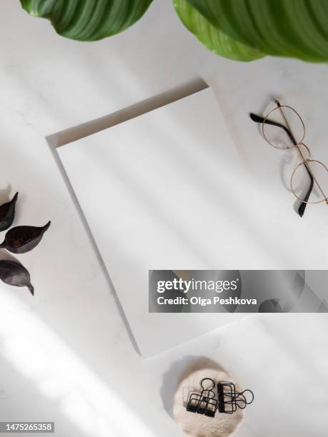 empty blank white magazine or catalog cover layout, green plant on white background with shadows - mockup magazine fotografías e imágenes de stock