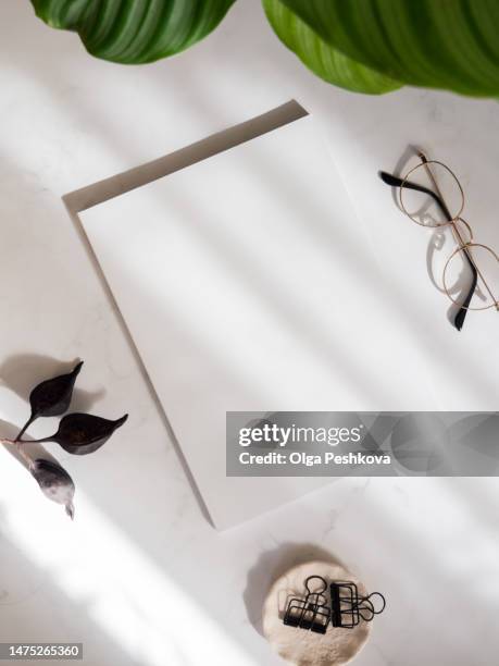 empty blank white magazine or catalog cover layout, green plant on white background with shadows - note pad cover stock pictures, royalty-free photos & images