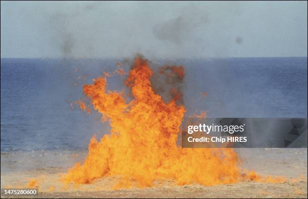 Marée noire causée par l'explosion de la plateforme d'exploration pétrolière Ixtoc 1 dans la baie de Campeche au Mexique, le 10 août 1979.