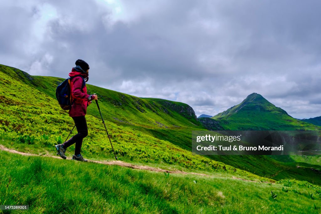 France, Cantal, Auvergne Volcanoes regional natural park, Cantal mountains