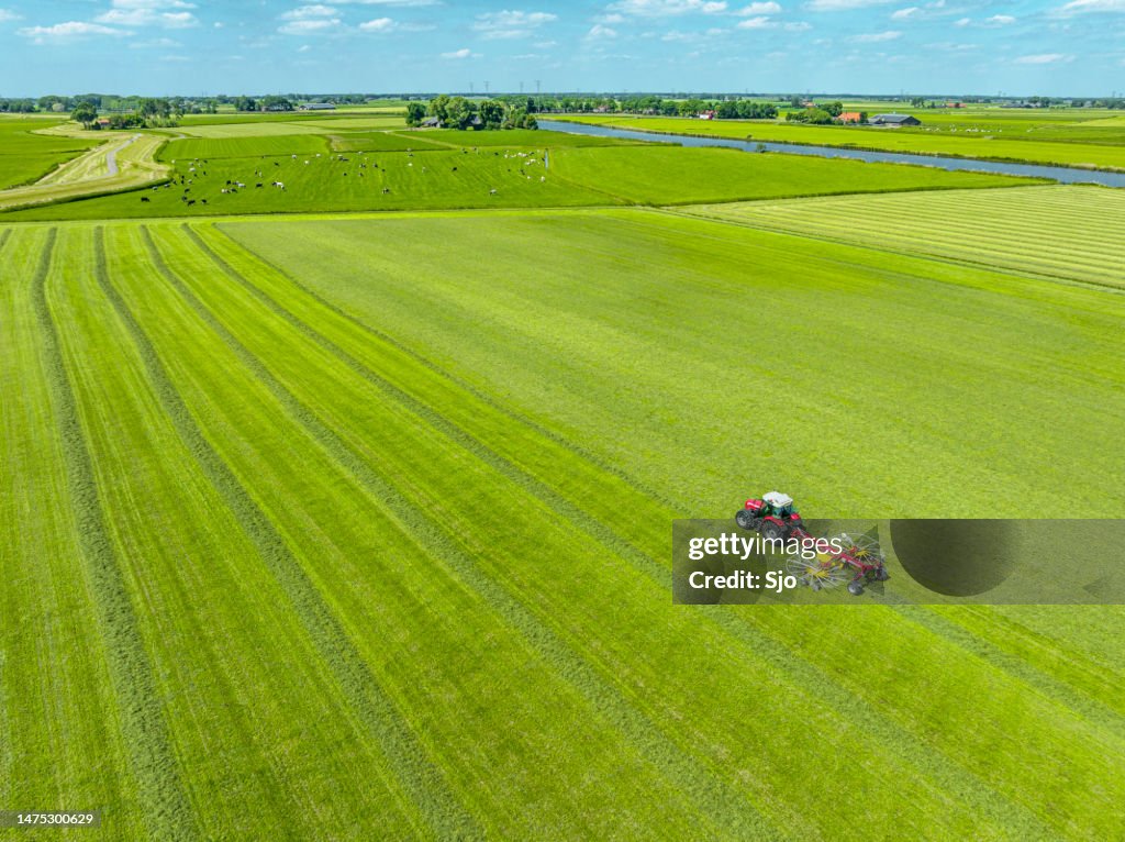 Traktor, der einen Drehrechen zieht, um Heu von einer Graswiese zu sammeln, von oben gesehen