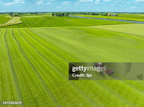 Tractor pulling a rotary rake to collect hay from a grass meadow seen from above