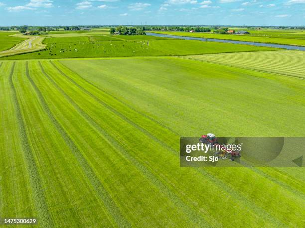 tractor pulling a rotary rake to collect hay from a grass meadow seen from above - agricultural equipment bildbanksfoton och bilder