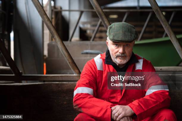 the hard work of farming. what will drive the next generation? - teleurstelling stockfoto's en -beelden