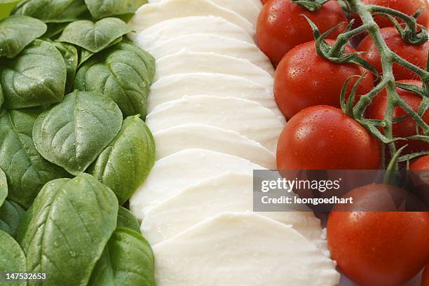 bandera italiana-insalata tricolore caprese - mozzarella fotografías e imágenes de stock