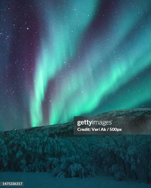 scenic view of aurora borealis against sky at night,japan - floresta de boreal imagens e fotografias de stock
