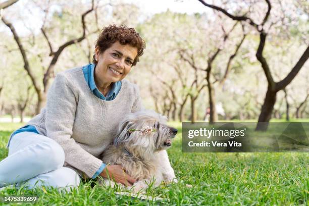 portrait of retired woman caressing dog at park in springtime - sheepdog stock pictures, royalty-free photos & images