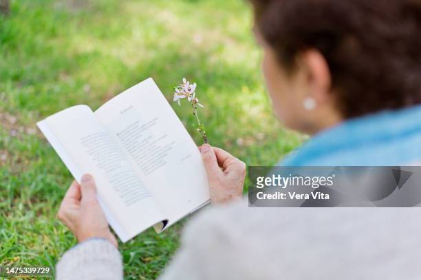 rear view of elderly woman reading a white book at park in springtime - 詩 個照片及圖片檔
