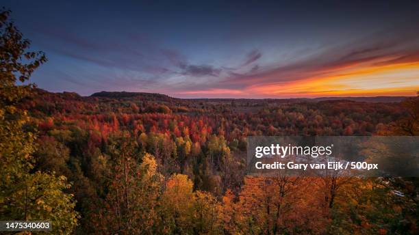 scenic view of landscape against sky during sunset,canada - maple tree canada stock pictures, royalty-free photos & images