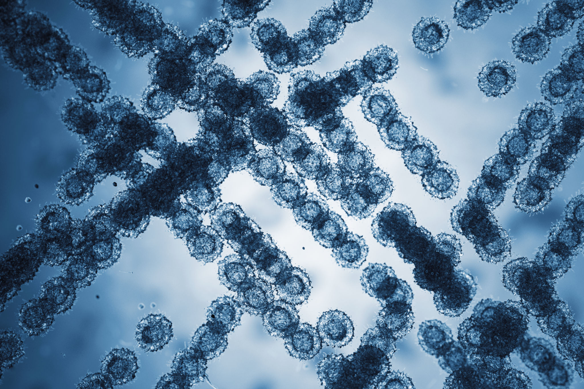 fungi biotechnology