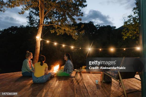 evening with friends by campfire - log cabin fire stock pictures, royalty-free photos & images
