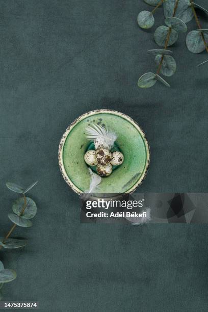 easter decoration with quail eggs surrounded by eucalyptus on green background - 復活主日 個照片及圖片檔