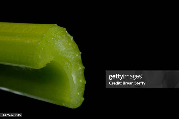 celery slice - celery sticks stock pictures, royalty-free photos & images