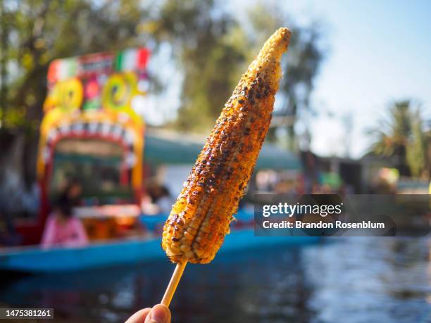 xochimilco - trajinera stock pictures, royalty-free photos & images