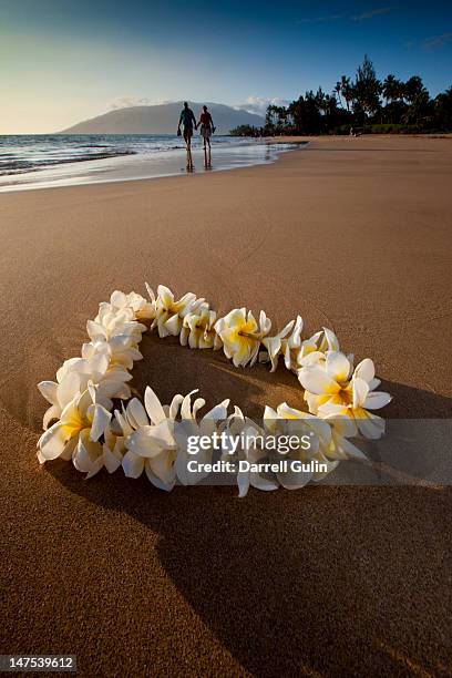 silhouetted couple and fallen lei on kihea beach - floral garland stock pictures, royalty-free photos & images