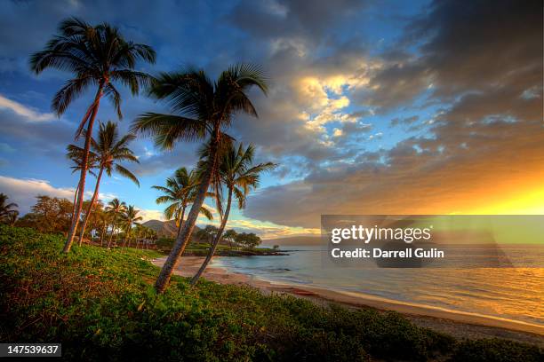 sunset near makena with tropical palm trees - makena maui stock pictures, royalty-free photos & images