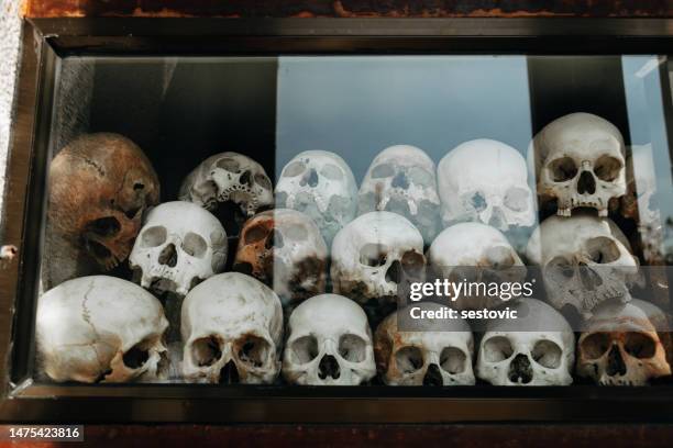 kambodscha, phnom penh, choeung ek genocidal center, schädel - human skull museum stock-fotos und bilder