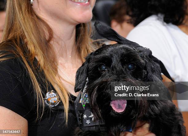 In celebration of Hoops and Hounds, fans of the San Antonio Silver Stars bring their dogs to the game against the Minnesota Lynx at the AT&T Center...