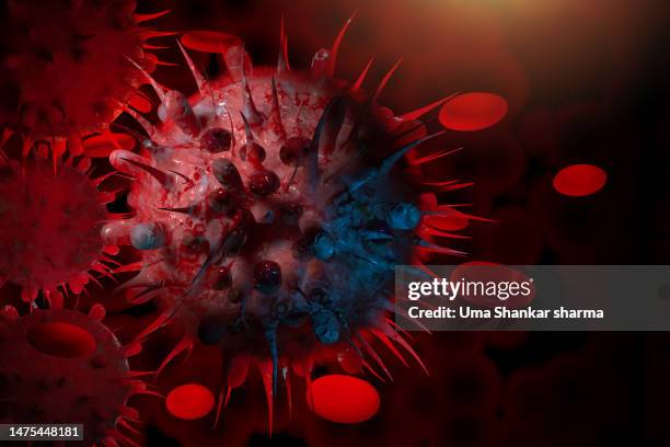 candida auris fungal infection virus spread - h3n2 stock pictures, royalty-free photos & images