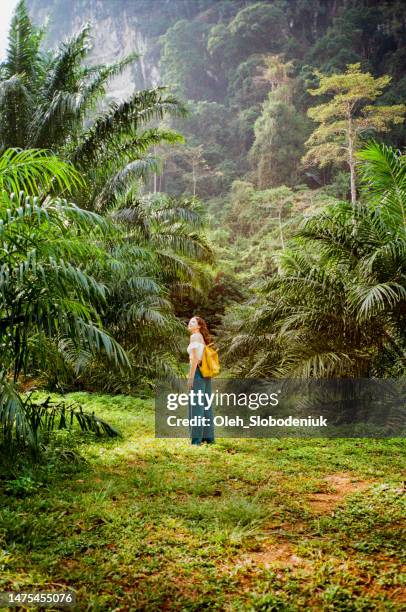 mulher que caminha no caminho através das selvas - phuket - fotografias e filmes do acervo
